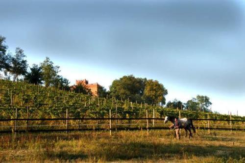 La Cascina Del Castello Villa อัสตี ภายนอก รูปภาพ